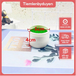 Chậu nhựa size 4cm * 5cm .