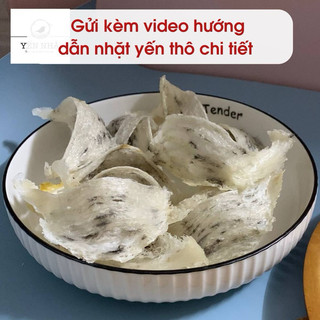 [NGUYÊN TỔ] Tổ yến sào thô nguyên chất + nguyên liệu chưng yến - Yến Sào Yến Nhà