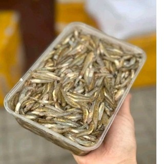 500gr cá bống sông đà
