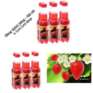 Lốc 6 chai Compact tăng lực vị dâu chai 330ml