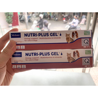 Gel dinh dưỡng Nutri plus gel 120,5g