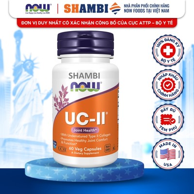 Viên Uống NOW FOODS UC-II Type II Collagel 40mg Cung Cấp Dưỡng Chất, Bảo Tồn Phần Sụn Khớp