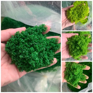 Bột cỏ rêu nhựa làm lá cây , mảng rêu , rêu sợi nhựa gai