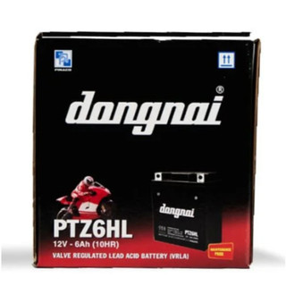 Ắc quy pinaco ptz6hl