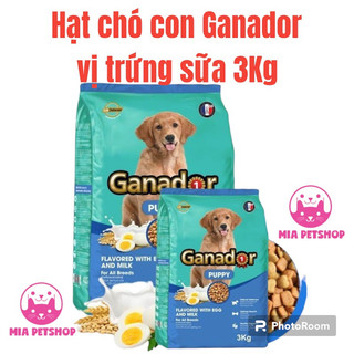 Hạt chó ganador chó con và chó lớn túi 3kg