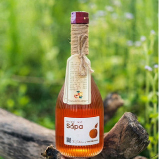Rượu mơ má đào sapa 14%