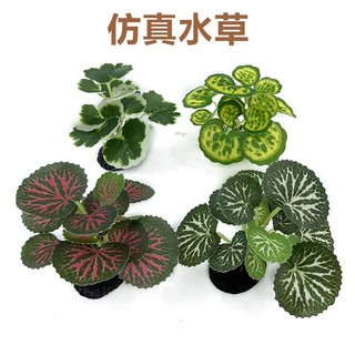 Cây nhựa giả trang trí bể cá cảnh thủy sinh, tiểu cảnh