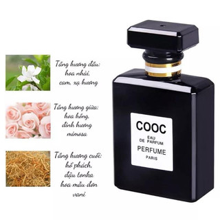 nước hoa coco 50ml