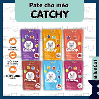 Pate cho mèo Catchy 5Plus thơm ngon đủ vị gói 70gr