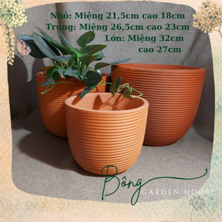 Chậu trồng cây, Chậu đất nung kẻ sọc bầu trứng size lớn Bông Garden trồng cây cảnh các loại