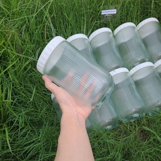 Combo 10 Hủ Thuỷ Tinh 900ml