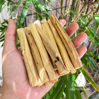 Gỗ Trắc Xanh Palo Santo (Mystic House Tarot Shop) - Sản Phẩm Authentic Chính Hãng 100%