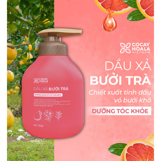  Dầu Xả Bưởi Trà Cỏ Cây Hoa Lá Việt Nam - Làm Sạch Dịu Nhẹ - Tự Hào Nông Sản Việt