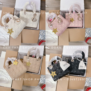 Túi trần ô Chữ Đ bản tag vàng nhạt (SC VIP)3 ô- 5 ô size 17cm- 20cm hộp Nam châm 2 lớp siu xịn xò
