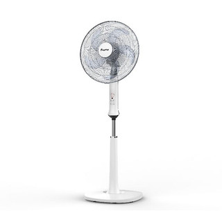 Quạt đứng 40B tiện lợi cao cấp 6