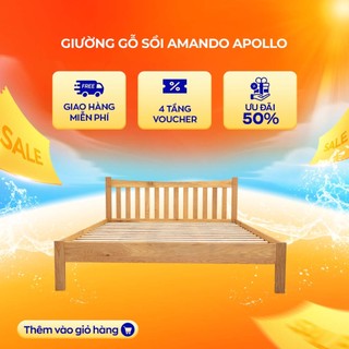 Giường gỗ sồi Amando Apollo 