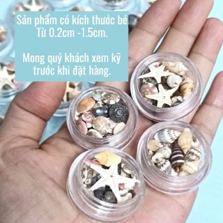 Vỏ ốc mini dùng trong trang trí, thủ công, decor..v...v..