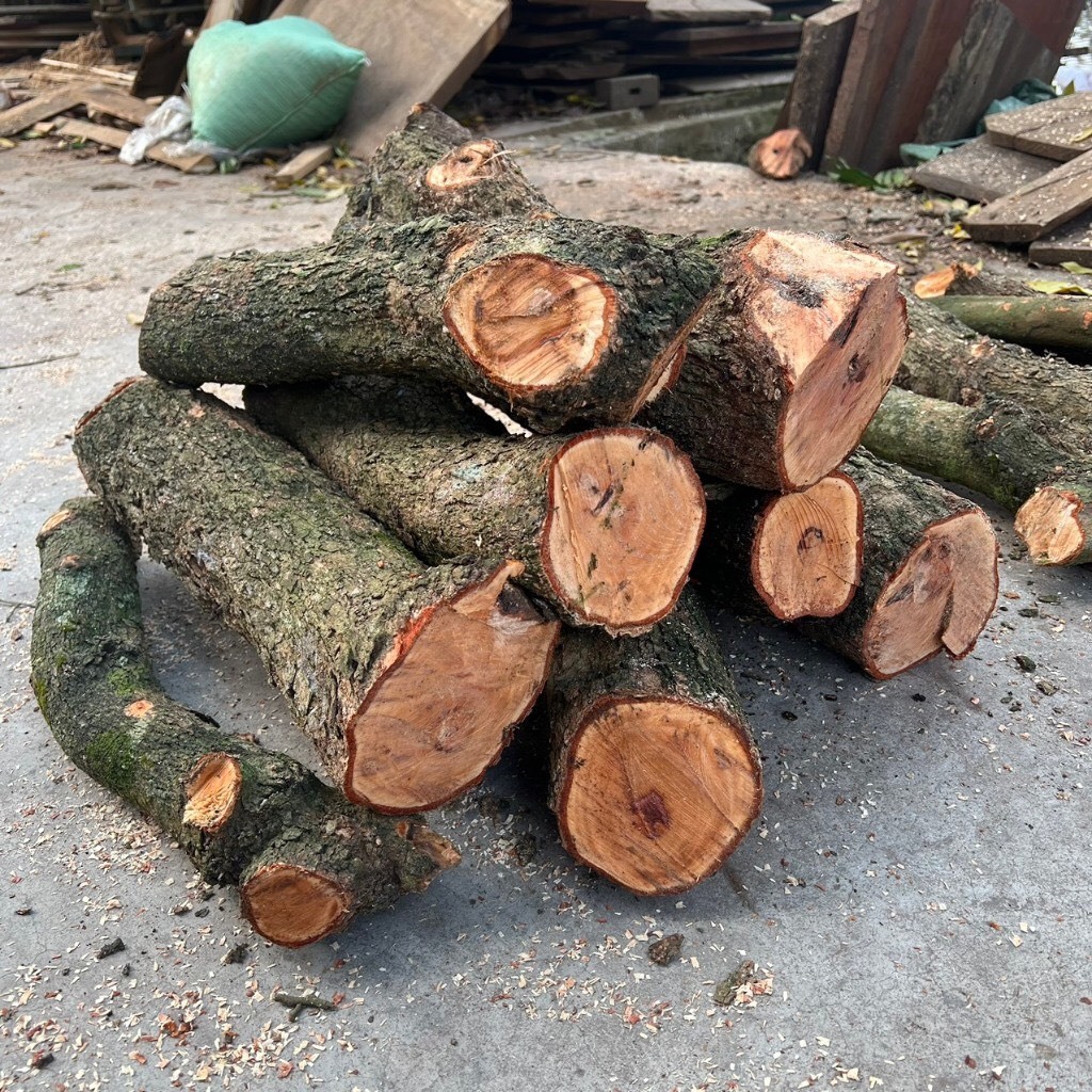 Gỗ nhãn ghép lan