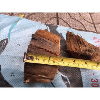 Vỏ Xơ Dừa Cắt Miếng( 5-7cm) Đã Qua Xử Lý Giá Thể Trồng Lan Và Hoa Kiểng ( bịch 400g)
