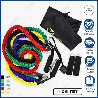 Bộ Dây Kháng Lực Ngũ Sắc Cao Cấp PRO ZD11- Dây Đàn Hồi Tập Gym 5 Màu