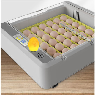 Máy ấp trứng Mini 30 - 50 trứng