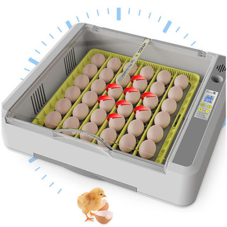 Máy ấp trứng Mini 30 - 50 trứng