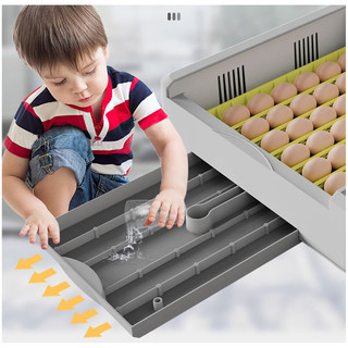 Máy ấp trứng Mini 30 - 50 trứng
