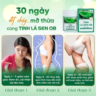 Trà Giảm Cân Detox Cần Tây Lá Sen Trà Xanh OB Giúp Giảm Mỡ Nhanh Chóng, An Toàn (50g)