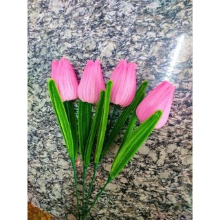 Cành hoa tulip kẽm nhung