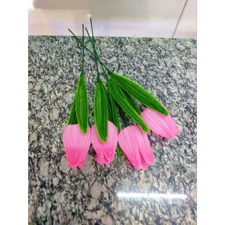 Cành hoa tulip kẽm nhung