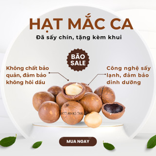 500gr Hạt mắc ca tây nguyên đã sấy chín, tặng kèm khui, đảm bảo không hôi dầu