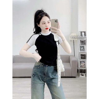 Áo babytee phối màu ( chất đẹp )