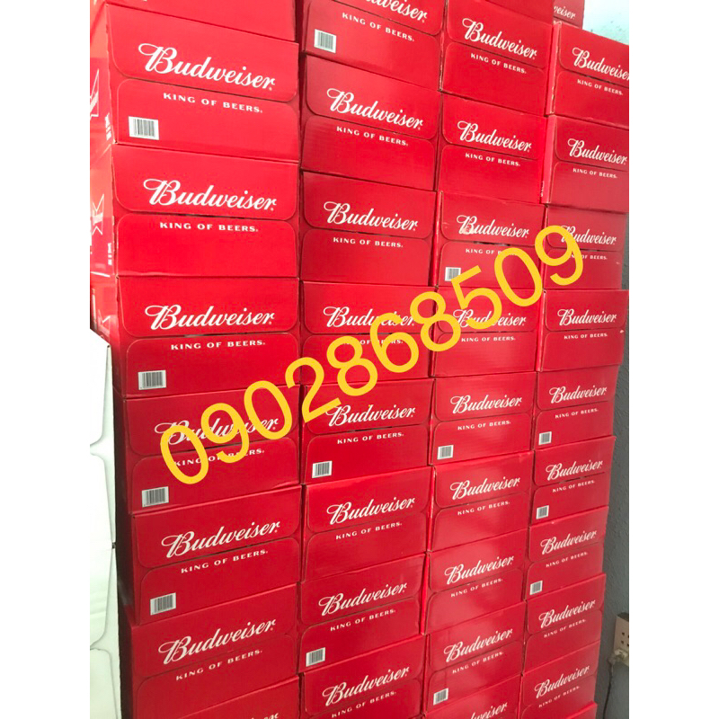 BIA BUDWEISER 24 LON CAO 330ml