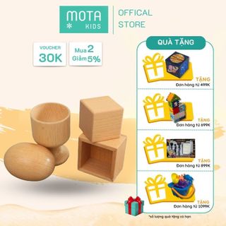  Đồ chơi montessori Khối hình học cơ bản và hộp chứa cho bé 9-12 tháng - Hàng chính hãng