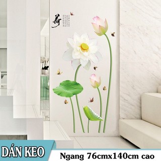 Decal trang trí Hoa Sen Trắng thanh nhã