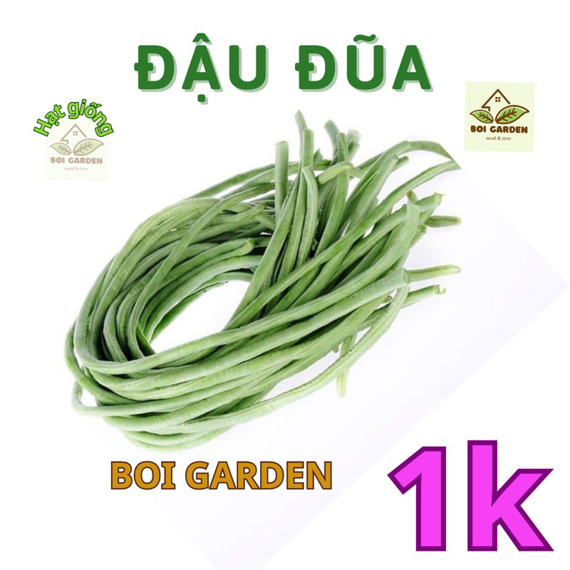 [Deal 1k] 3 hạt Hạt giống ĐẬU ĐŨA (23)
