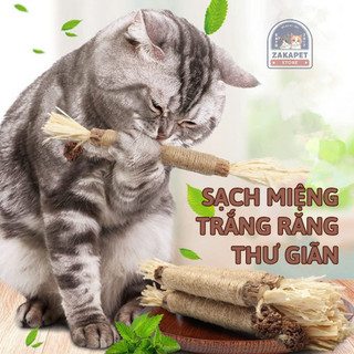 Que Gặm Răng Cho Mèo - Đồ Chơi Cắn Nhai Giảm Stress, Bảo Vệ Răng Miệng Hiệu Quả