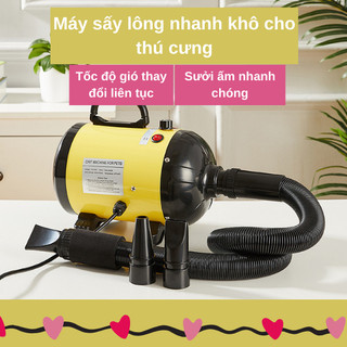 Máy sấy lông chó mèo, máy sấy lông mèo đa năng công suất lớn chuyên dụng cho tiệm thú cưng