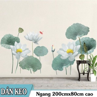 Decal dán tường hoa sen trắng Lá sen tốt