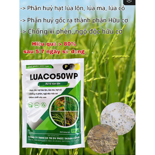 Xử lý lúa cỏ, lúa lẫn, lúa ma, hạt cỏ hiệu Luaco 50wp gói 250g