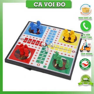 Cờ Cá Ngựa Nam Châm