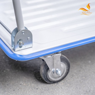 Xe đẩy Phong Thạnh XTB100DG