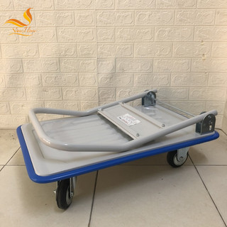 Xe đẩy Phong Thạnh XTB100DG