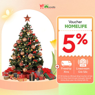 Cây Thông Noel 1m6 Đầy Đủ Phụ Kiện, Lá Dày, Loại Đẹp Đi Kèm Đèn Trang Trí Giáng Sinh Siêu Lung Linh