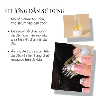 (HÀNG TẶNG, KHÔNG BÁN) LƯỢC MASSAGE ĐẨY TINH CHẤT