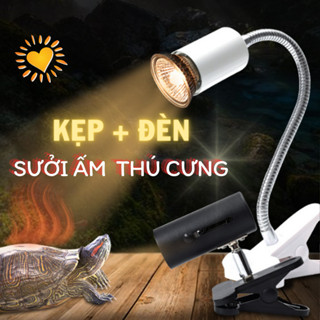 [GIÁ SĨ] KẸP ĐÈN + ĐÈN SƯỞI ẤM CHO RÙA, BÒ SÁT,  CHÓ  MÈO CON NHỎ THÚ CƯNG TIA UVA UVB giá rẻ SHIP CẤP TỐC