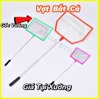 Vợt Bắt Cá Cảnh góc Vuông giúp bắt cá cảnh dễ dàng