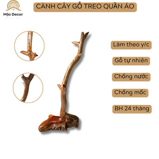 Cây treo quần áo, treo đèn decor, móc treo túi xách từ thân cây gỗ tự nhiên
