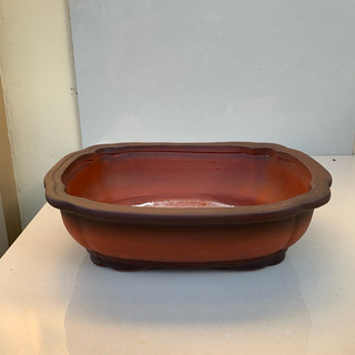Chậu áng mây size to đẹp màu đỏ SP879