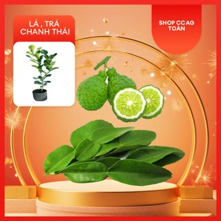 combo 0,5kg lá chúc + 0,5kg trái chúc. Hàng tươi mới